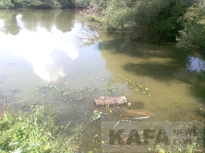 Рыбалка шах мурза Рыбалка шах мурза
