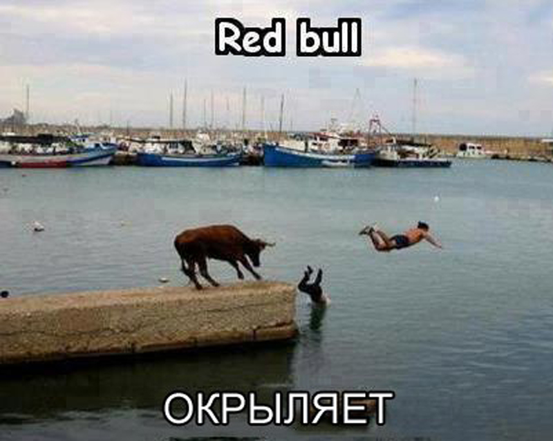 Red bull