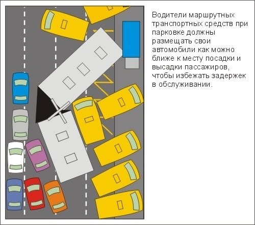 правила дорожного движения для новичков