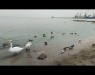 Старт осеннему сезону 2025 дан