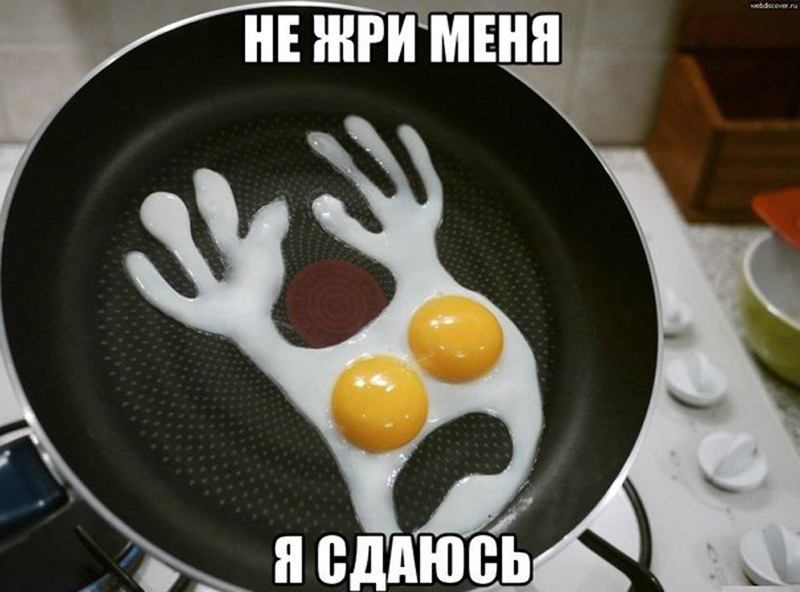 Сдаюсь!